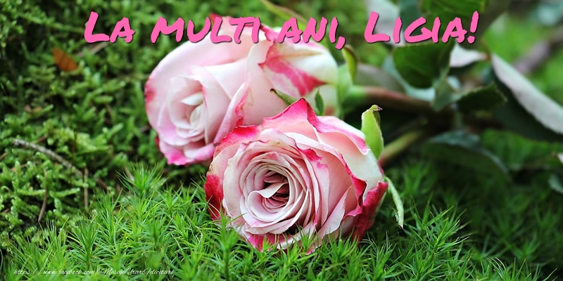  Felicitari de Ziua Numelui - Flori & Trandafiri | La multi ani, Ligia!