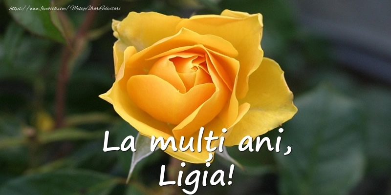  Felicitari de Ziua Numelui - Flori & Trandafiri | La mulți ani, Ligia!
