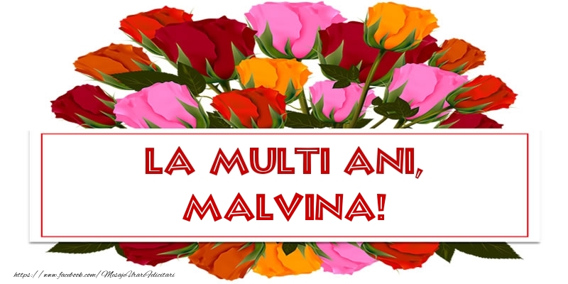  Felicitari de Ziua Numelui - Trandafiri | La multi ani, Malvina!