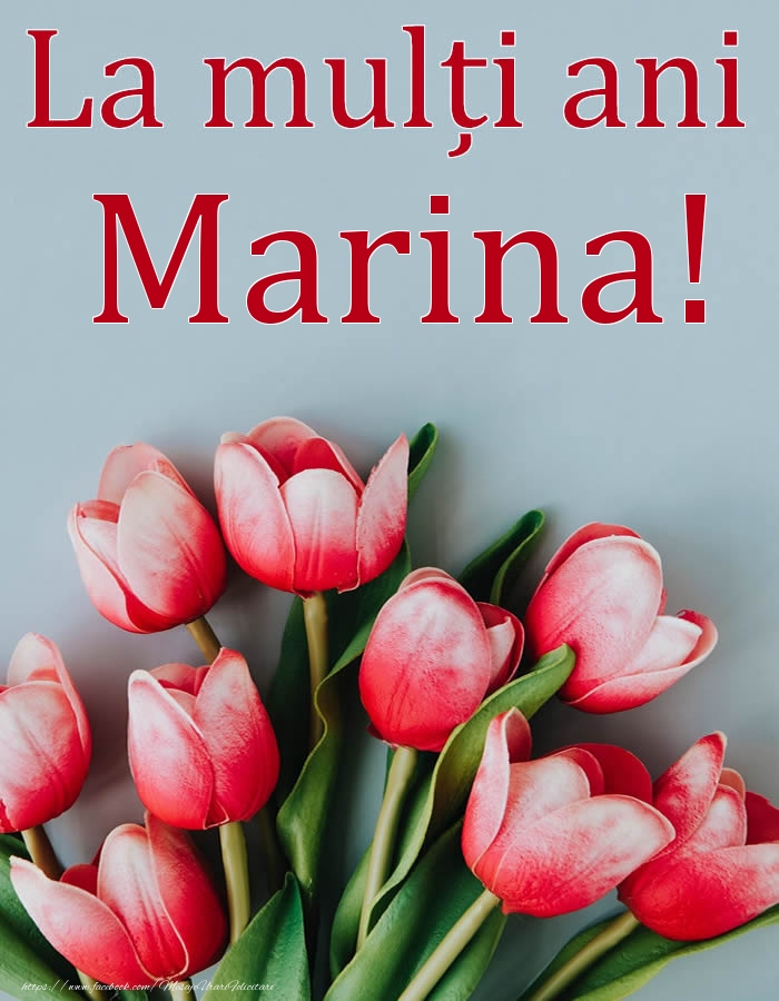  Felicitari de Ziua Numelui - Flori | La mulți ani, Marina!