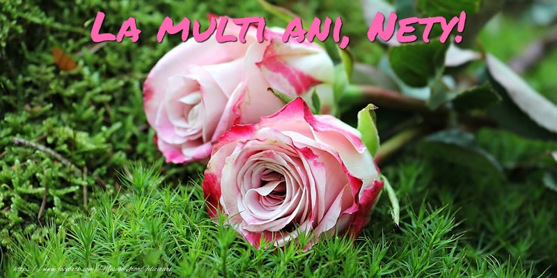  Felicitari de Ziua Numelui - Flori & Trandafiri | La multi ani, Nety!