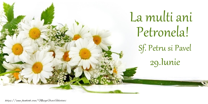 Ziua Numelui La multi ani, Petronela! 29.Iunie - Sf. Petru si Pavel