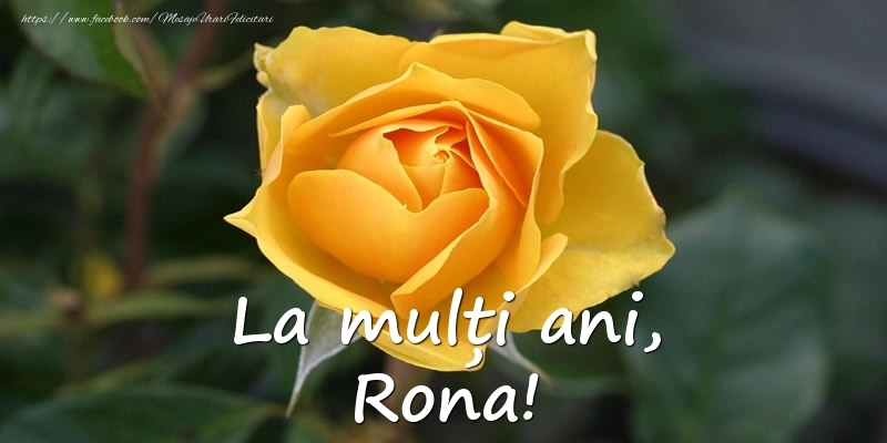  Felicitari de Ziua Numelui - Flori & Trandafiri | La mulți ani, Rona!