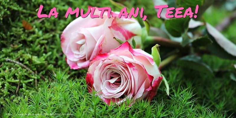 Felicitari de Ziua Numelui - Flori & Trandafiri | La multi ani, Teea!
