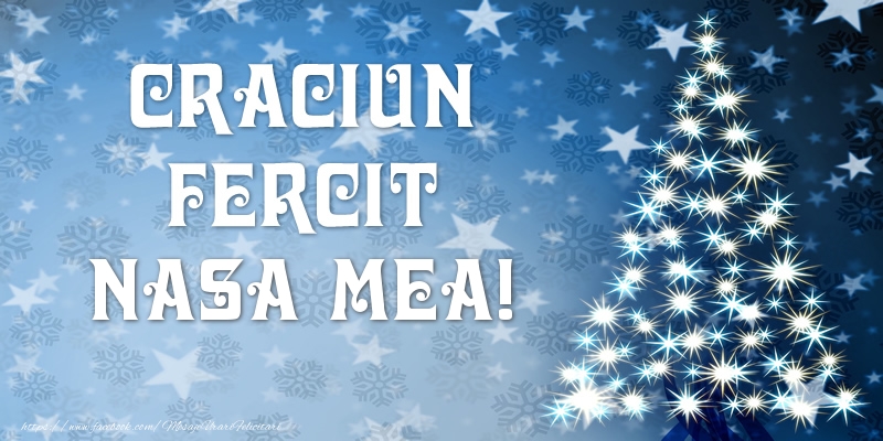 Felicitari de Craciun pentru Nasa - Craciun Fericit nasa mea!