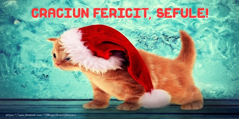 Felicitari de Craciun pentru Sef - Craciun Fericit, sefule!