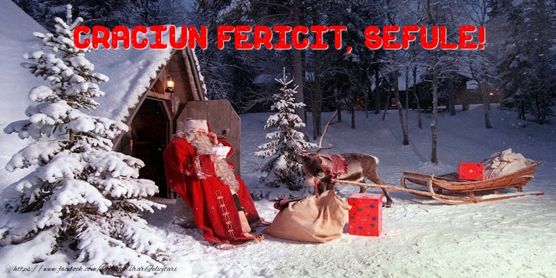 Felicitari de Craciun pentru Sef - Craciun Fericit, sefule!