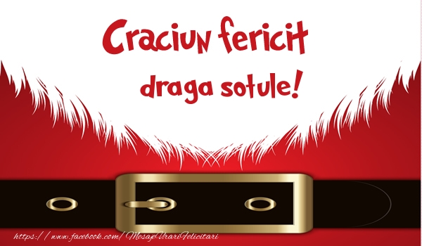 Felicitari de Craciun pentru Sot - Craciun Fericit draga sotule!