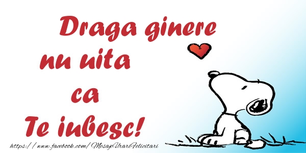 Felicitari de dragoste pentru Ginere - Draga ginere nu uita ca Te iubesc!