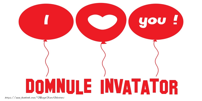 Felicitari de dragoste pentru Invatator - I love you domnule invatator!