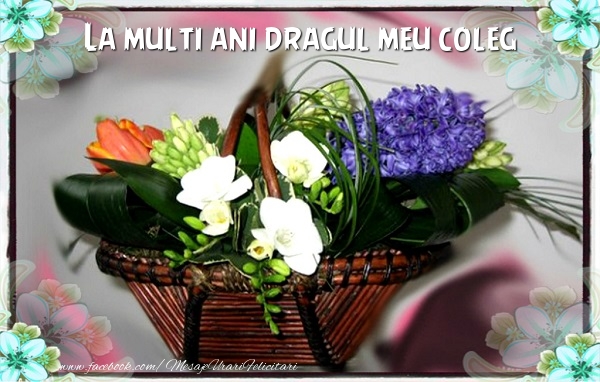 Felicitari de la multi ani pentru Coleg - La multi ani colegul meu