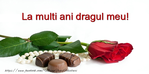 Felicitari de la multi ani pentru Iubit - La multi ani dragul meu!