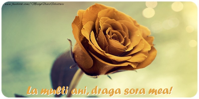 Felicitari de la multi ani pentru Sora - La multi ani, draga sora mea!