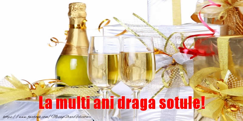 Felicitari de la multi ani pentru Sot - La multi ani draga sotule!