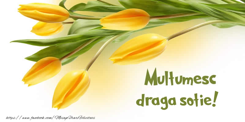 Felicitari de multumire pentru Sotie - Multumesc draga sotie!