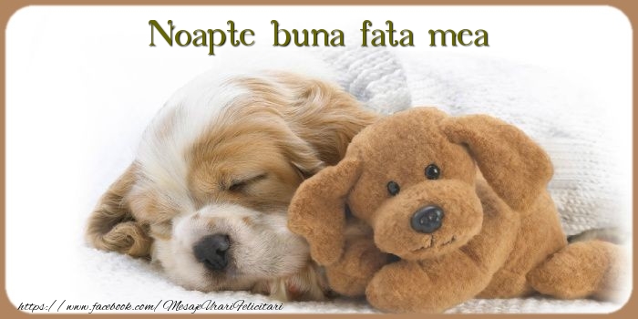 Felicitari de noapte buna pentru Fata - Noapte buna fata mea