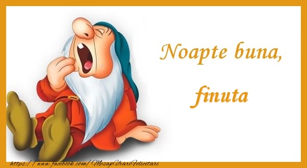 Felicitari de noapte buna pentru Fina - Noapte buna finuta