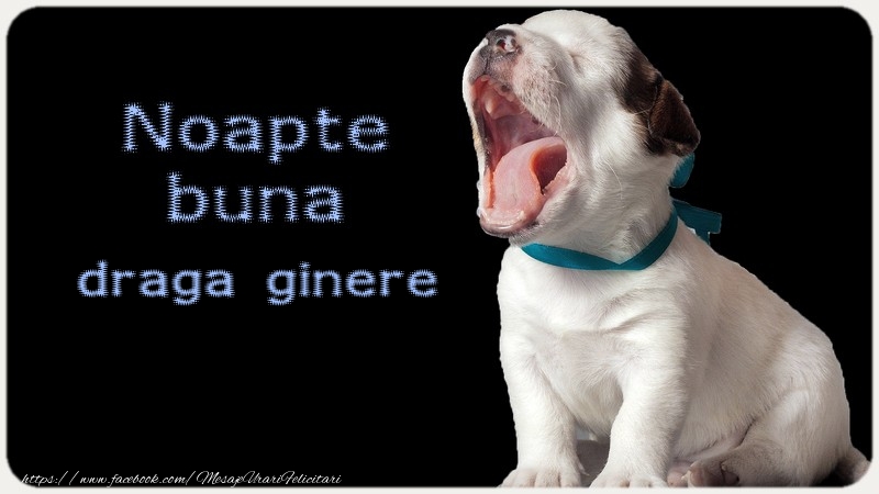 Felicitari de noapte buna pentru Ginere - Noapte buna draga ginere