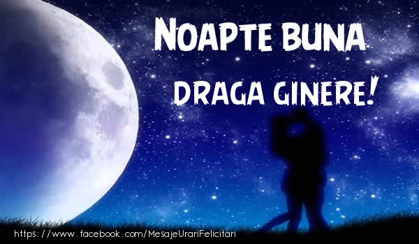 Felicitari de noapte buna pentru Ginere - Noapte buna draga ginere!