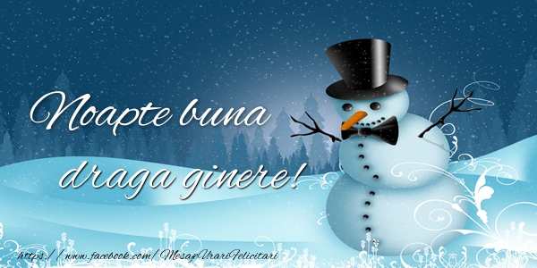 Felicitari de noapte buna pentru Ginere - Noapte buna draga ginere!