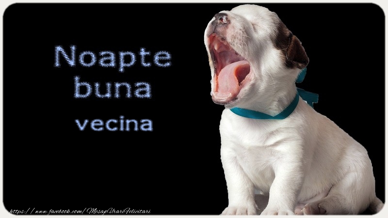 Felicitari de noapte buna pentru Vecina - Noapte buna vecina