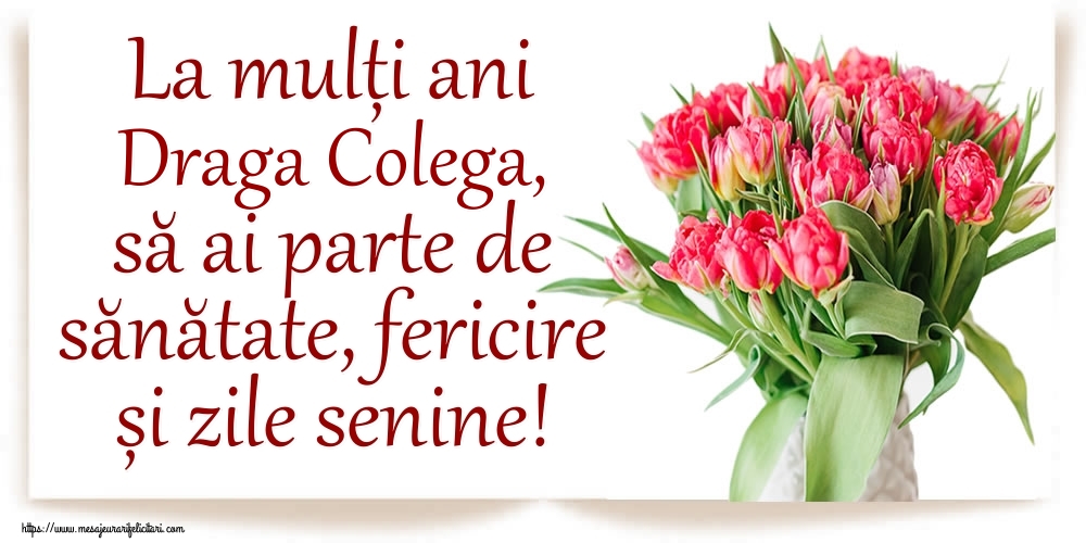 Felicitari de zi de nastere pentru Colega - La mulți ani draga colega, să ai parte de sănătate, fericire și zile senine!