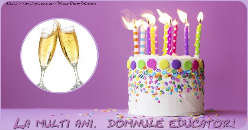 Felicitari de zi de nastere pentru Educator - La multi ani domnule educator