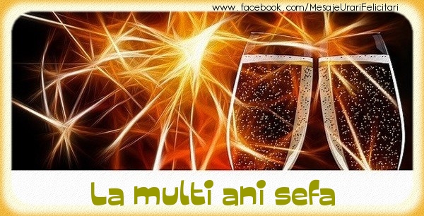 Felicitari de zi de nastere pentru Sefa - La multi ani sefa