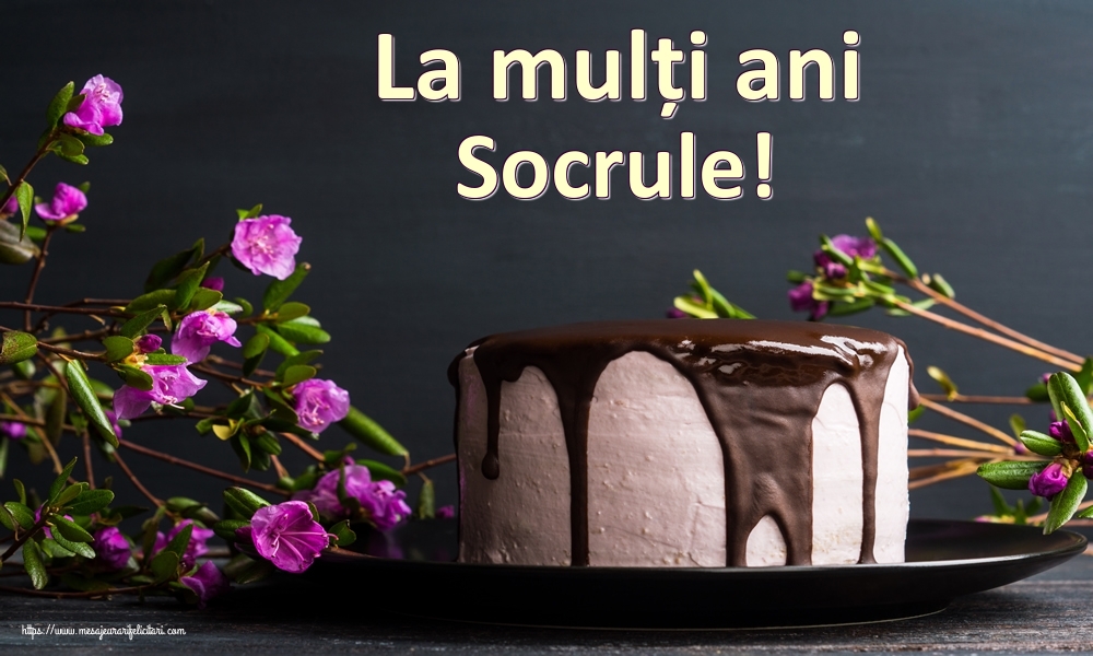 Felicitari de zi de nastere pentru Socru - La mulți ani socrule!