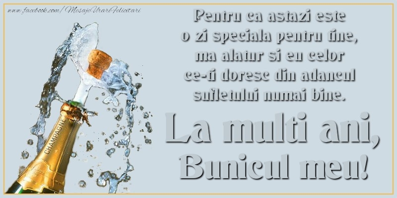 Felicitari de Ziua Numelui pentru Bunic - Pentru ca astazi este o zi speciala pentru tine, ma alatur si eu celor ce-ti doresc din adancul sufletului numai bine. La multi an, bunicul meu