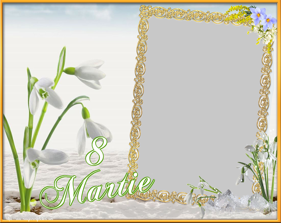 Felicitari personalizate de 8 Martie - 8 Martie - Rama foto