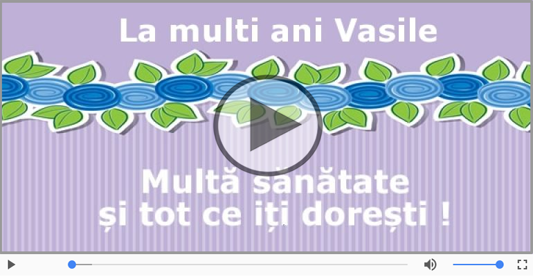 Vasile, La Multi Ani!