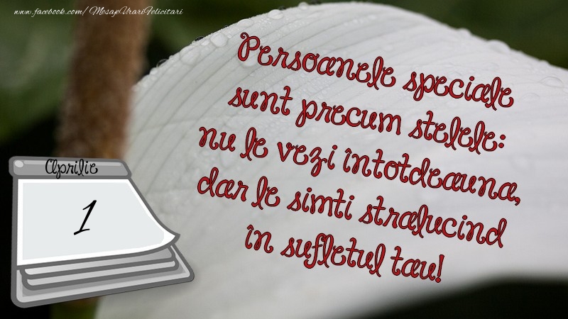 Persoanele speciale sunt precum stelele: nu le vezi întotdeauna, dar le simti strălucind în sufletul tău! 1 Aprilie