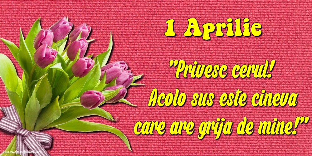 1.Aprilie Privesc cerul! Acolo sus este cineva care are grija de mine!