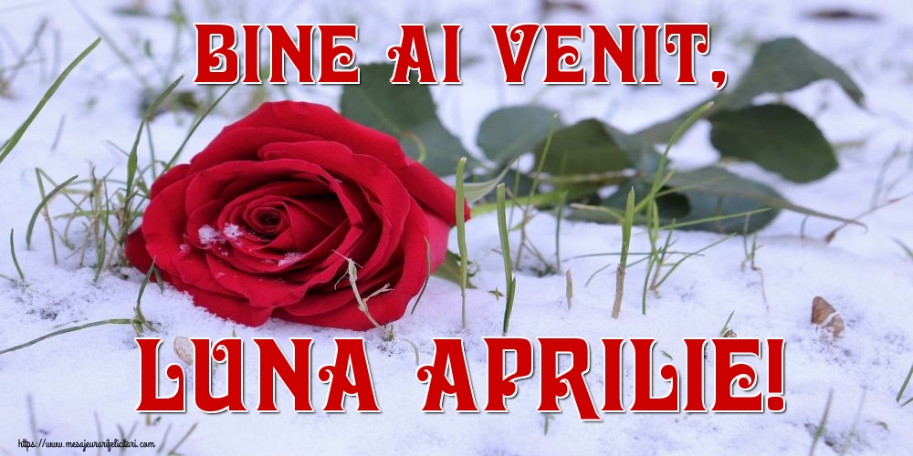 Felicitari de 1 Aprilie - Bine ai venit, luna APRILIE!