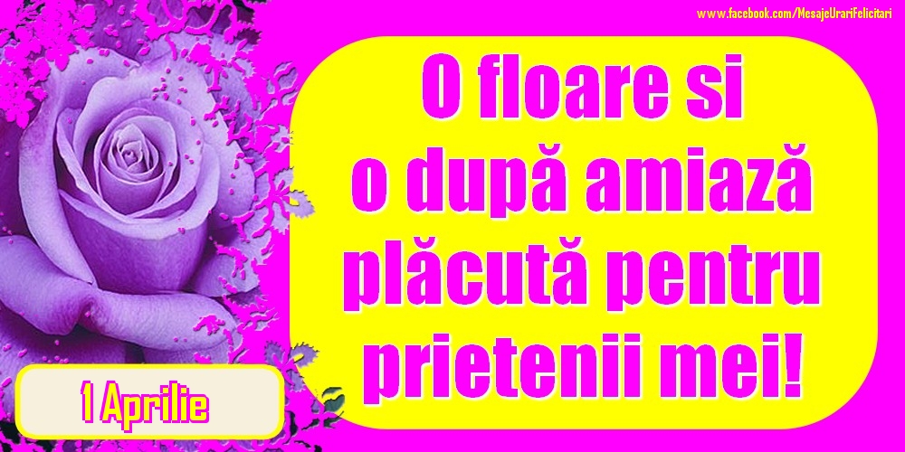 1.Aprilie - O floare și o după amiază plăcută pentru prietenii mei!