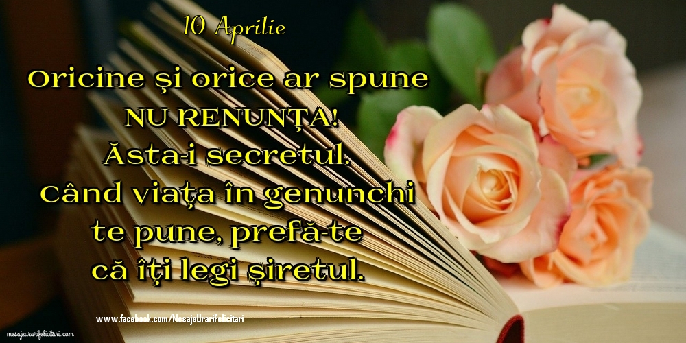 10 Aprilie - Oricine şi orice ar spune NU RENUNŢA! Ăsta-i secretul. Când viaţa în genunchi te pune, prefă-te că îţi legi şiretul.