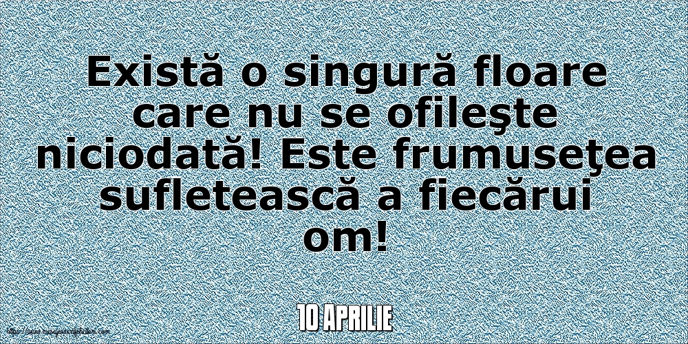 Felicitari de 10 Aprilie - 10 Aprilie - Există o singură floare care nu se ofileşte niciodată