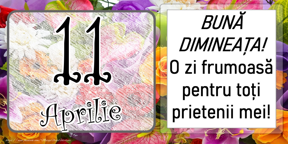 11 Aprilie - BUNĂ DIMINEAȚA! O zi frumoasă pentru toți prietenii mei!