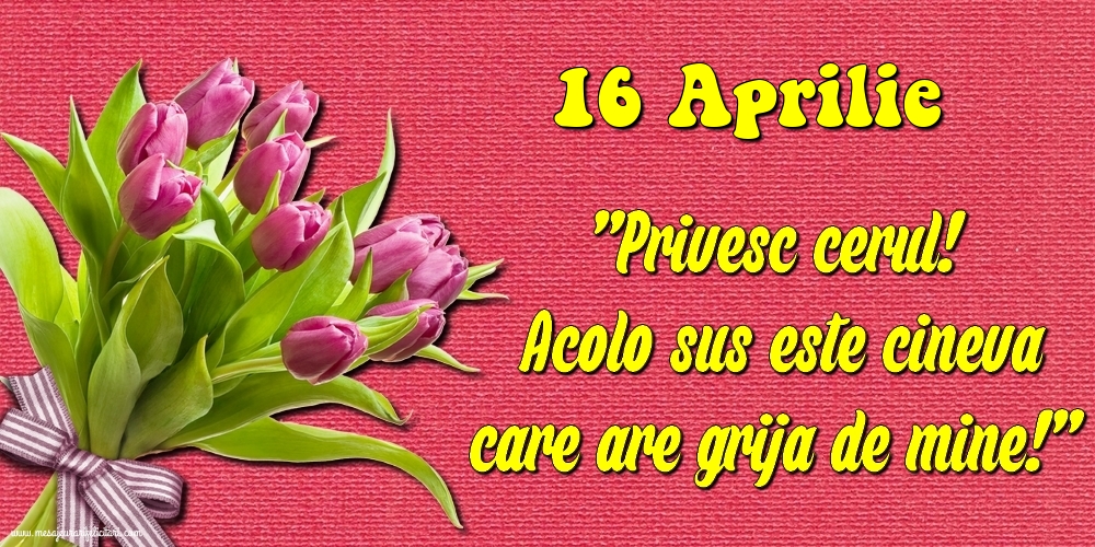 16.Aprilie Privesc cerul! Acolo sus este cineva care are grija de mine!