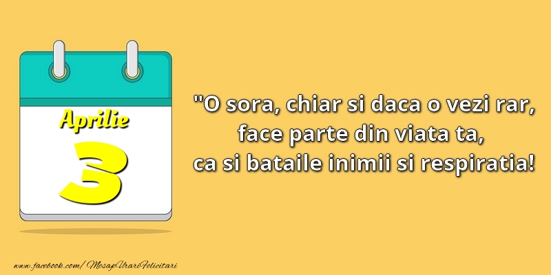 O soră, chiar şi dacă o vezi rar, face parte din viata ta, ca şi bătăile inimii şi respiraţia! 3Aprilie