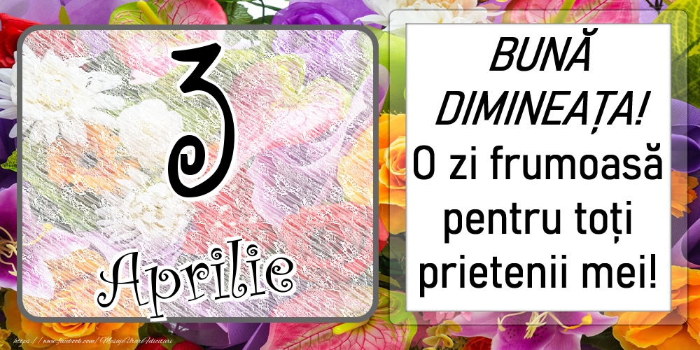 Felicitari de 3 Aprilie - 3 Aprilie - BUNĂ DIMINEAȚA! O zi frumoasă pentru toți prietenii mei!