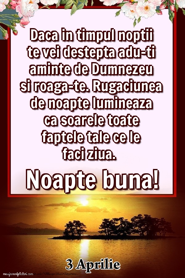 Felicitari de 3 Aprilie - 3 Aprilie - Daca in timpul noptii te vei destepta adu-ti aminte de Dumnezeu si roaga-te. Rugaciunea de noapte lumineaza ca soarele toate faptele tale ce le faci ziua. Noapte buna!