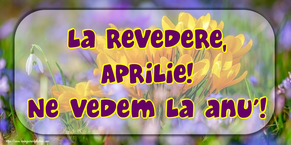 Felicitari de 30 Aprilie - La revedere, Aprilie! Ne vedem la anu'!