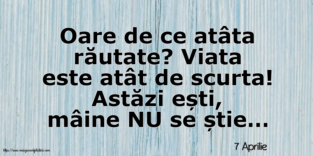 Felicitari de 7 Aprilie - 7 Aprilie - Oare de ce atâta răutate?