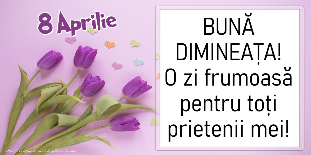 Felicitari de 8 Aprilie - 8 Aprilie - BUNĂ DIMINEAȚA! O zi frumoasă pentru toți prietenii mei!