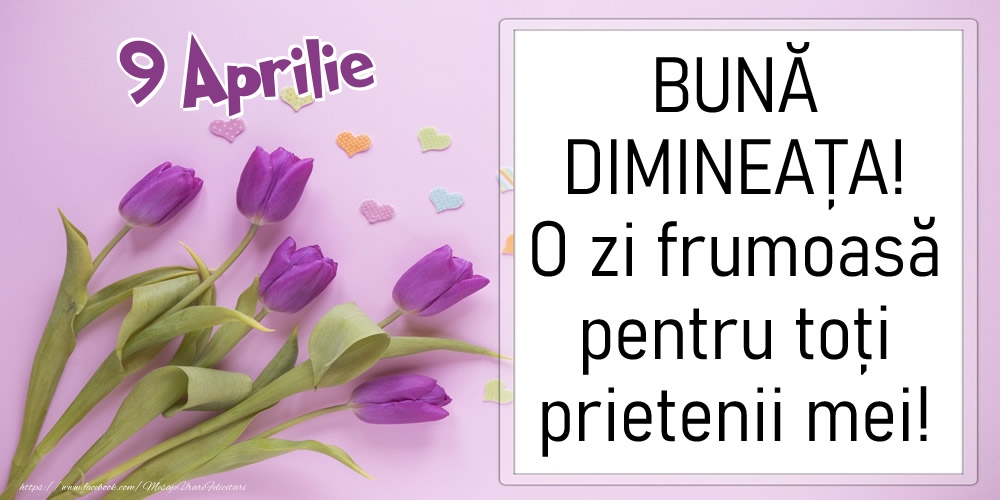 Felicitari de 9 Aprilie - 9 Aprilie - BUNĂ DIMINEAȚA! O zi frumoasă pentru toți prietenii mei!