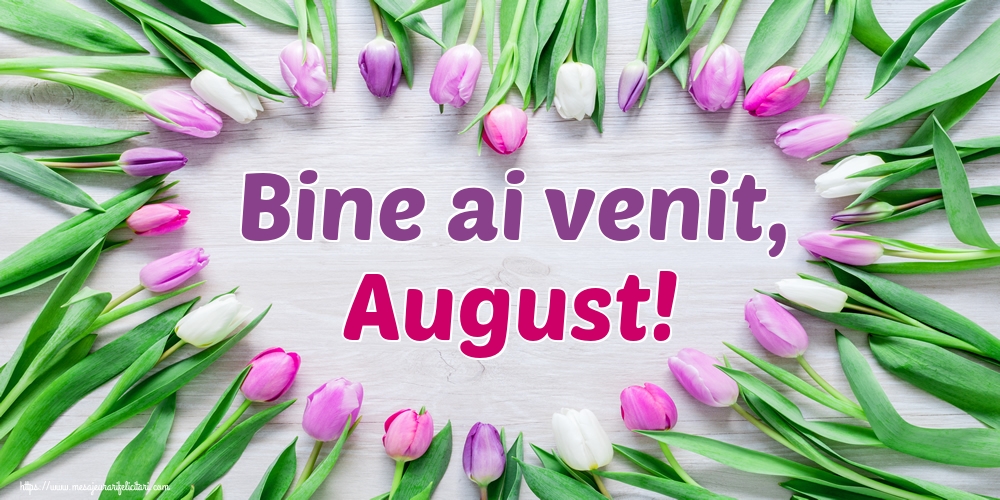 Felicitari de 1 August - Bine ai venit, August!