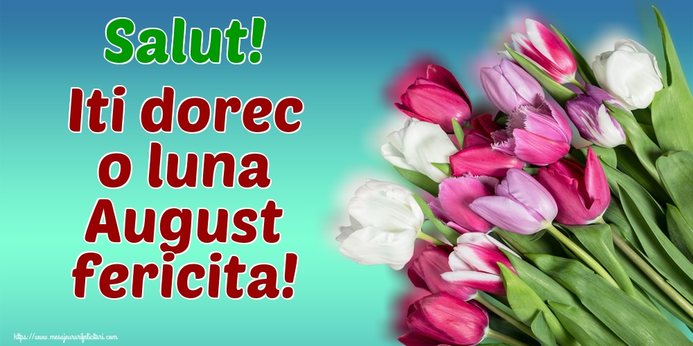 Felicitari de 1 August - Salut! Iti dorec o luna August fericita!