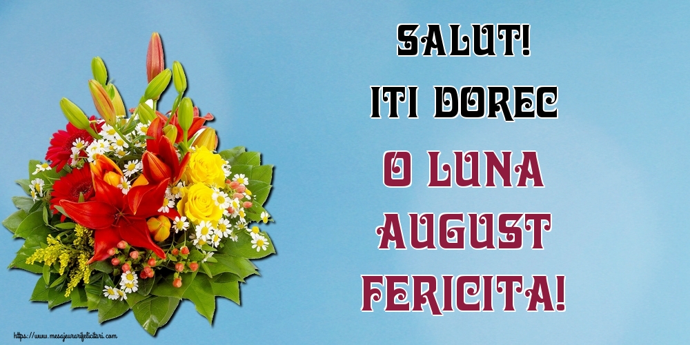 Felicitari de 1 August - Salut! Iti dorec o luna August fericita!